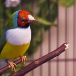dsc06521