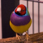 dsc06536