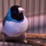 dsc06541