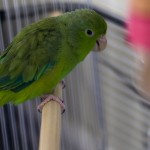 dsc06544