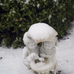 Snow