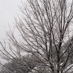 Snow