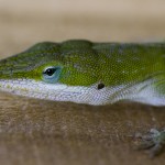 dsc06900