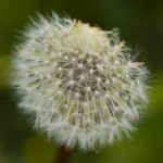 dsc06928