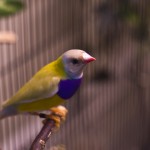 dsc07252