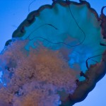 DSC02808