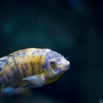 DSC02979
