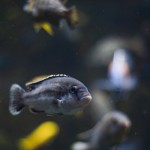 DSC02980