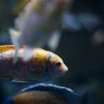 DSC02989