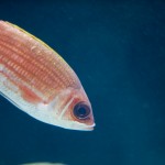 DSC03060