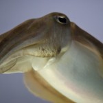 DSC07700
