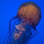 DSC07708