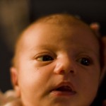 DSC03275