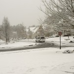 DSC03334