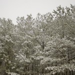 DSC03357
