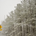 DSC03359