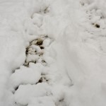 DSC03427