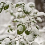 DSC03455