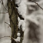 DSC03463