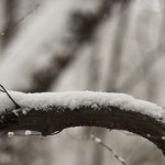 DSC03488
