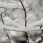 DSC03495